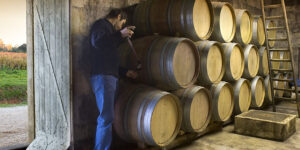 Chaque vin de la gamme a une histoire spécifique, profondément ancrée dans son terroir