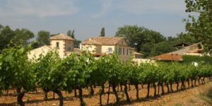 La Maison Gabriel Meffre UNE MAISON DE VIN RÉFÉRENTE ET ENGAGÉE EN VALLÉE DU RHÔNE